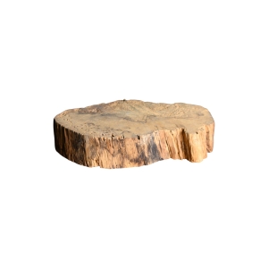 APOIADOR ORGANICO WOOD MEIO TRONCO